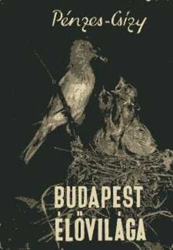 Pnzes Antal - Budapest lvilga
