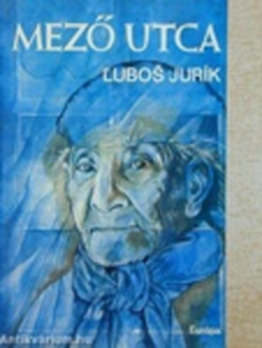 Lubos Jurik - Mez utca