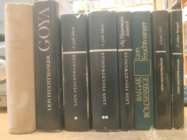 Lion Feuchtwanger - 8 db Lion Feuchtwanger: A cs�nya hercegn�; A hamis N�r�; Az Oppermann testv�rek; Balg�k b�lcsess�ge; Goya; A siker; A zsid� h�bor� I-II.