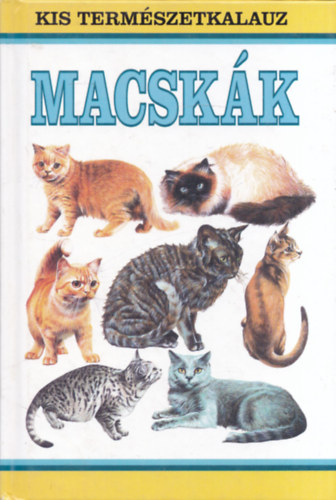 Howard Loxton - Macskk (Kis Termszetkalauz)