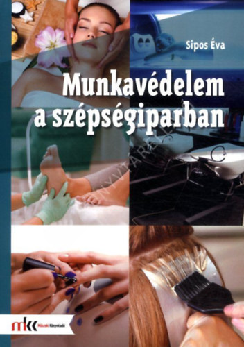 Sipos �va - Munkav�delem a sz�ps�giparban