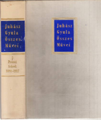 Juhsz Gyula sszes mvei 5.: Przai rsok 1898-1917