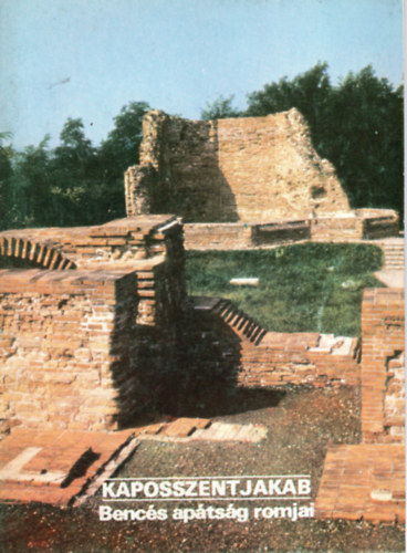 Éri István (szerk.) - Kaposszentjakab -Bencés apátság romjai- Tájak Korok Múzeumok KIskönyvtára 68