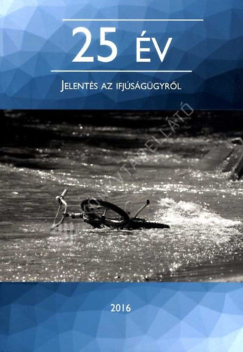 Elek Tímea - 25 év - Jelentés az ifjúságügyről