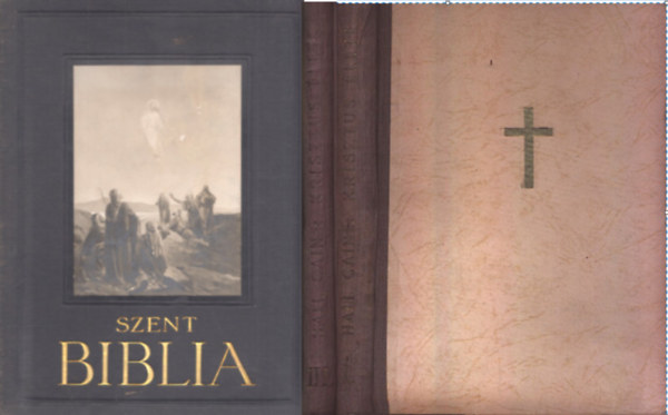 Hall Caine Kldi Gyrgy S. J.  (ford.) - SZENT BIBLIA - A VULGATA SZERINT KLDI GYRGY S. J. FORDTSA NYOMN+ Krisztus lete I/III. (tredk) ( 3 ktet )