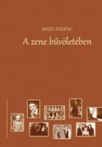 Meizl Ferenc - A zene bvletben