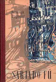 Remenyik Zsigmond - Sarjad� f�