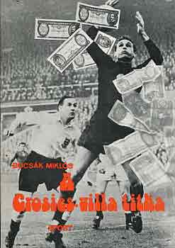 Bocsk Mikls - A Grosics-villa titka
