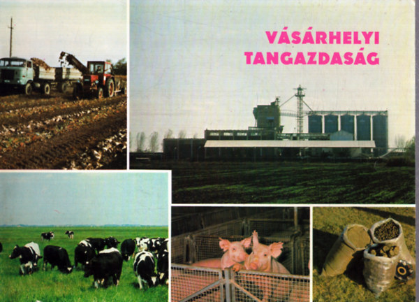 V�s�rhelyi Tangazdas�g