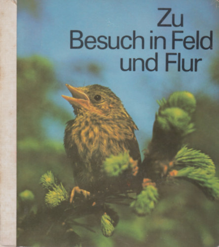 Zu Besuch in Feld und Flur