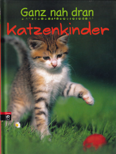 Katzenkinder