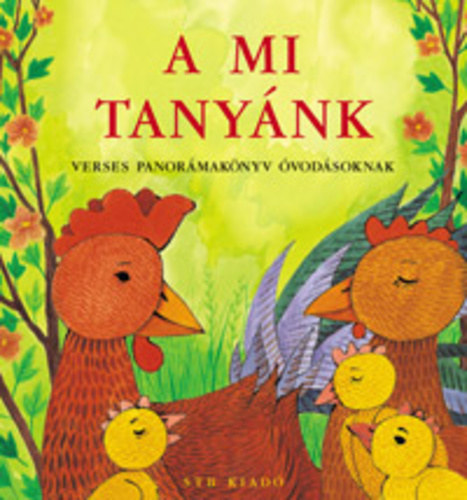 STB Knyvek Knyvkiad Kft. - A mi tanynk - Verses panormaknyv vodsoknak