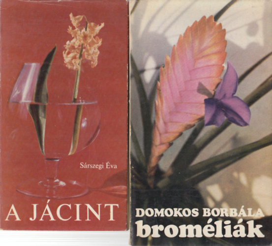 Srszegi va, Domokos Borbla - A jcint + Bromlik (2 db)