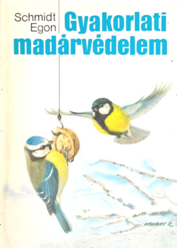 Schmidt Egon - Gyakorlati madrvdelem