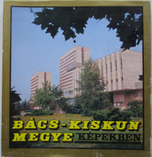 Szab Csaba  (szerk.) - Bcs-Kiskun megye kpekben