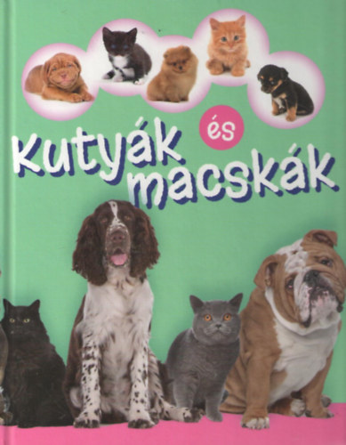 Bagoly Ilona - Kutyk s macskk