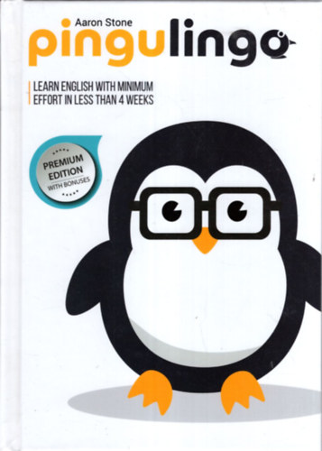 Aaron Stone - Pingulingo