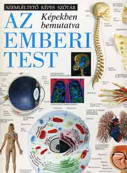 Az emberi test (Szeml�ltet� K�pes Sz�t�r)