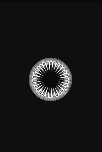 Farkas Attila Mrton - nmegvltstan