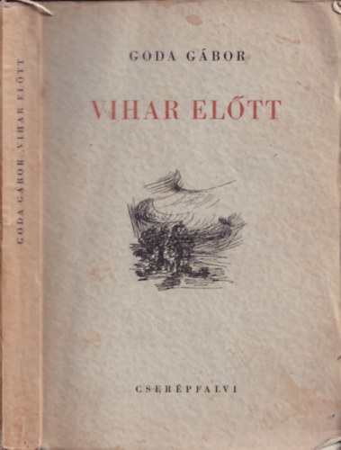 Goda G�bor - Vihar el�tt