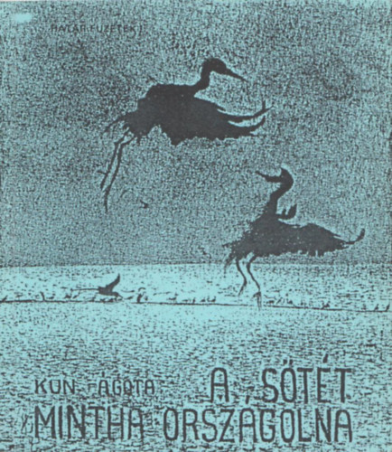 Kun Ágota - A sötét mintha országolna