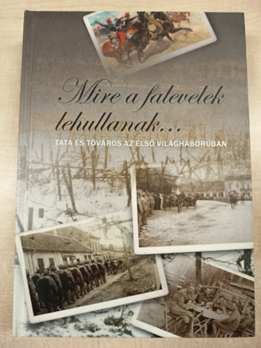 Kranzieritz K�roly, Rab�r Ferenc, Schmidtmayer Rich�rd, Stegmayer M�t� K�vesdi M�nika - Mire a falevelek lehullanak...- Tata �s T�v�ros az els� vil�gh�bor�ban