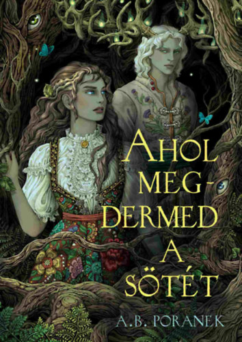 A. B. Poranek - Ahol megdermed a s�t�t