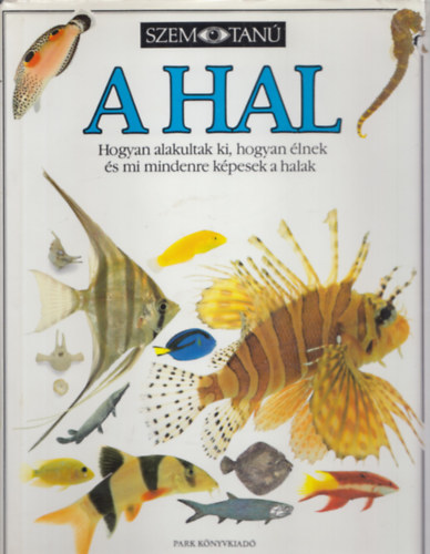 3 db Szemtan ktet: A hal + A fa + A pnz