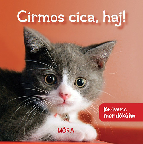 Cirmos cica haj! - Kedvenc mondkim