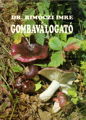 Dr. Rimczi Imre - Gombavlogat
