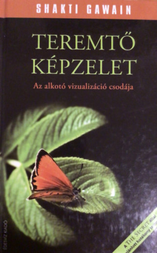 Shakti Gawain - A teremt kpzelet