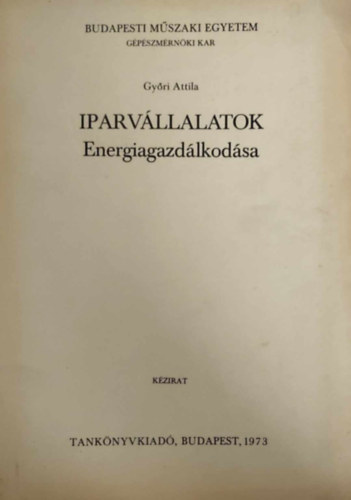 Gyri Attila - Iparvllalatok energiagazdlkodsa (Kzirat)