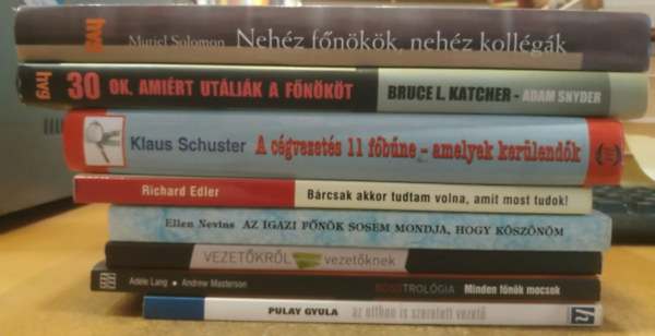 Adéle Lang, Andrew Masterson, Benke Anna, Ellen Nevins, Richard Edler, Klaus Schuster Pulay Gyula - 8 db Big Boss: Az otthon is szeretett vezető; Minden főnök mocsok; Vezetőkről nem csak vezetőknek; Az igazi főnök sosem mondja, hogy köszönöm; Bárcsak akkor tudtam volna, amit most tudok!; A cégvezetés 11 főbűne - amelyek kerülendők