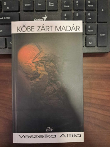 Veszelka Attila - Kbe zrt madr