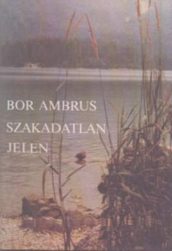 Bor Ambrus - Szakadatlan jelen