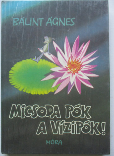 Blint gnes - Micsoda pk a vzipk!