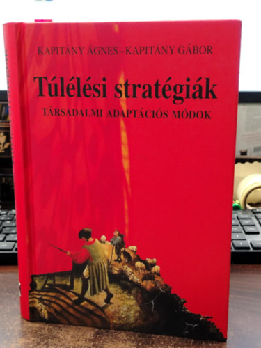 Kapitny gnes; Kapitny Gbor - Tllsi stratgik - Trsadalmi adaptcis mdok