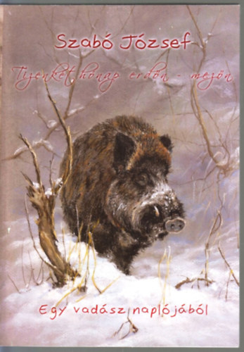 Szab Jzsef - Tizenkt hnap erdn-mezn