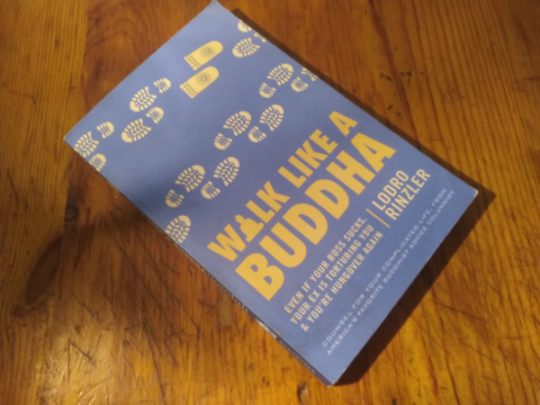 Lodro Rinzler - Walk like a Buddha