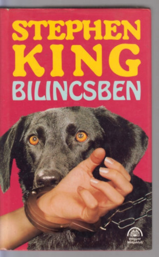 Stephen King - Bilincsben