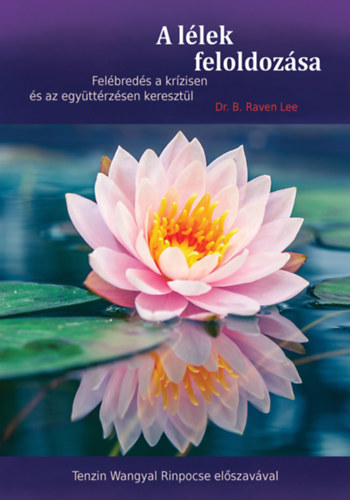 Dr. B. Raven  Lee - A llek feloldozsa