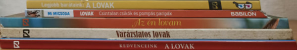 Gyermek lovas tmj knyvcsomag
