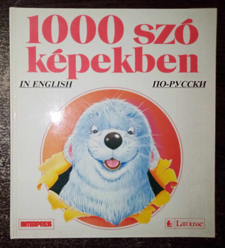 Larousse - 1000 sz kpekben