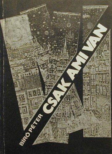 Bíró Péter - Csak ami van