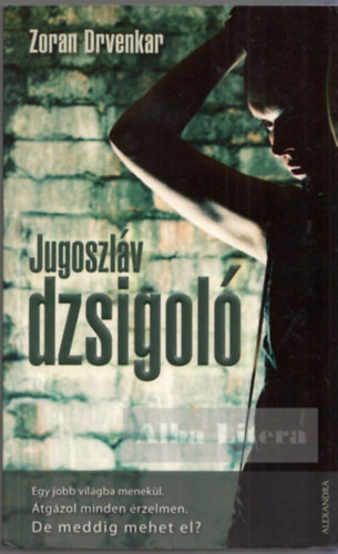 Zoran Drvenkar - Jugoszlv dzsigol