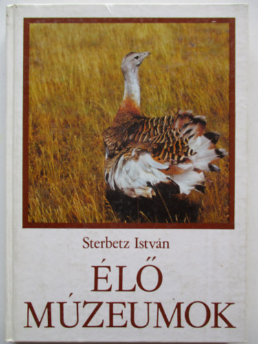 Sterbetz Istvn - l mzeumok