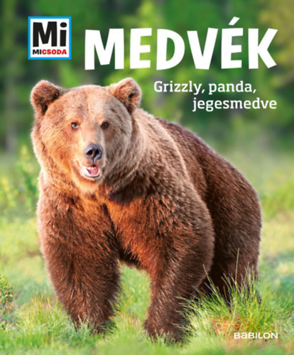 Alexandra Mayer - Medvék - Grizzly, panda, jegesmedve - Mi Micsoda