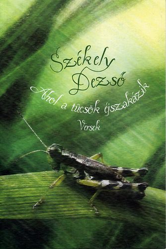 Sz�kely Dezs� - Ahol a t�cs�k �jszak�zik - Versek