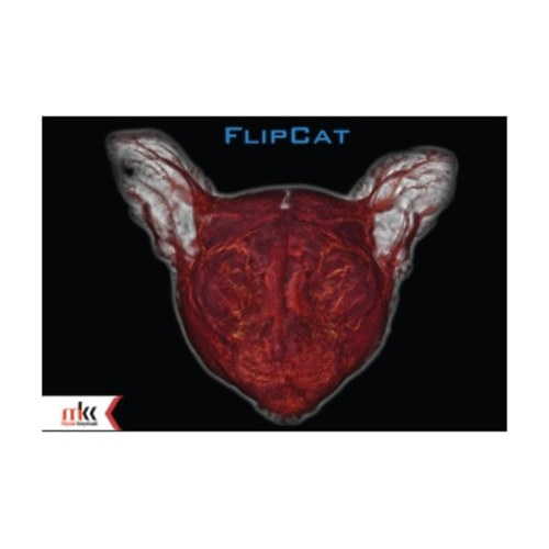 Petnehzy - Czeibert - Baksa - Grimm - FlipCat