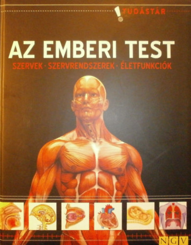 Az emberi test - Szervek - Szervrendszerek - �letfunkci�k